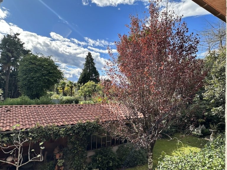 Appentis servant d'atelier dans une maison de charme à Trespoey, Pau